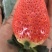 草莓