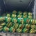 云南太阳花甜玉米大量上市货靓价低甜度高颗粒饱满发整车
