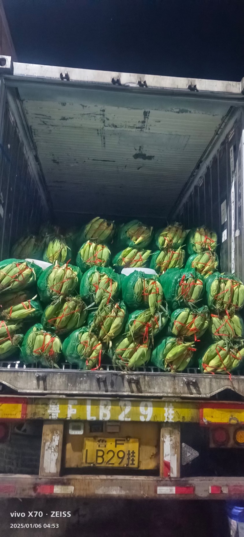 云南太阳花甜玉米大量上市货靓价低甜度高颗粒饱满发整车