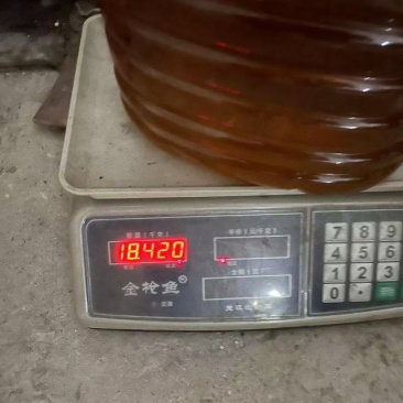 茶油