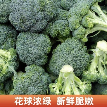 三门西兰花