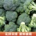 三门西兰花