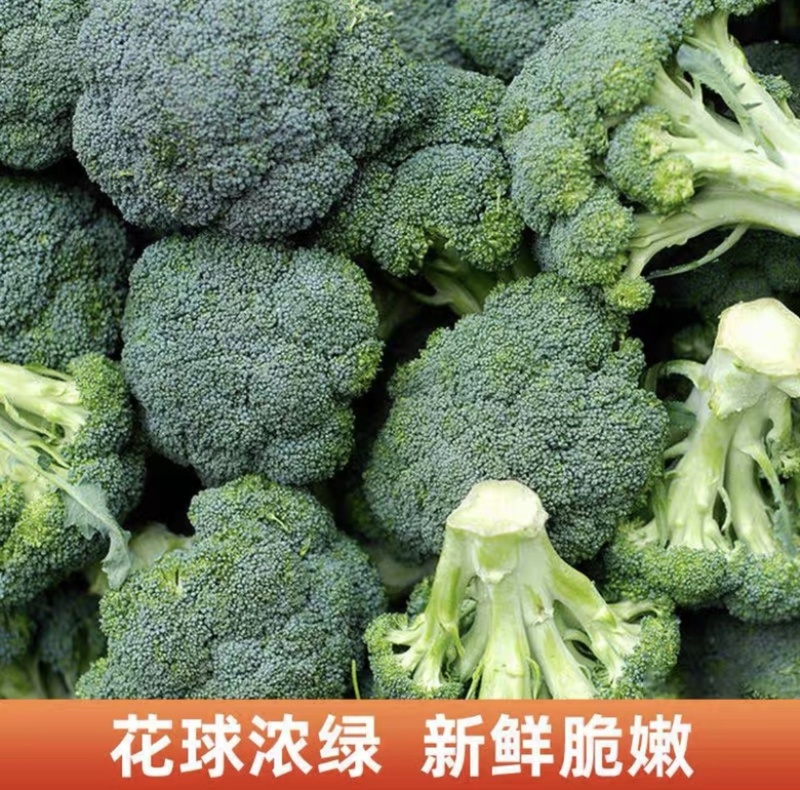 三门西兰花