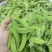 四川攀枝花精品河南豆豌豆片儿，欢迎全国批发商联系
