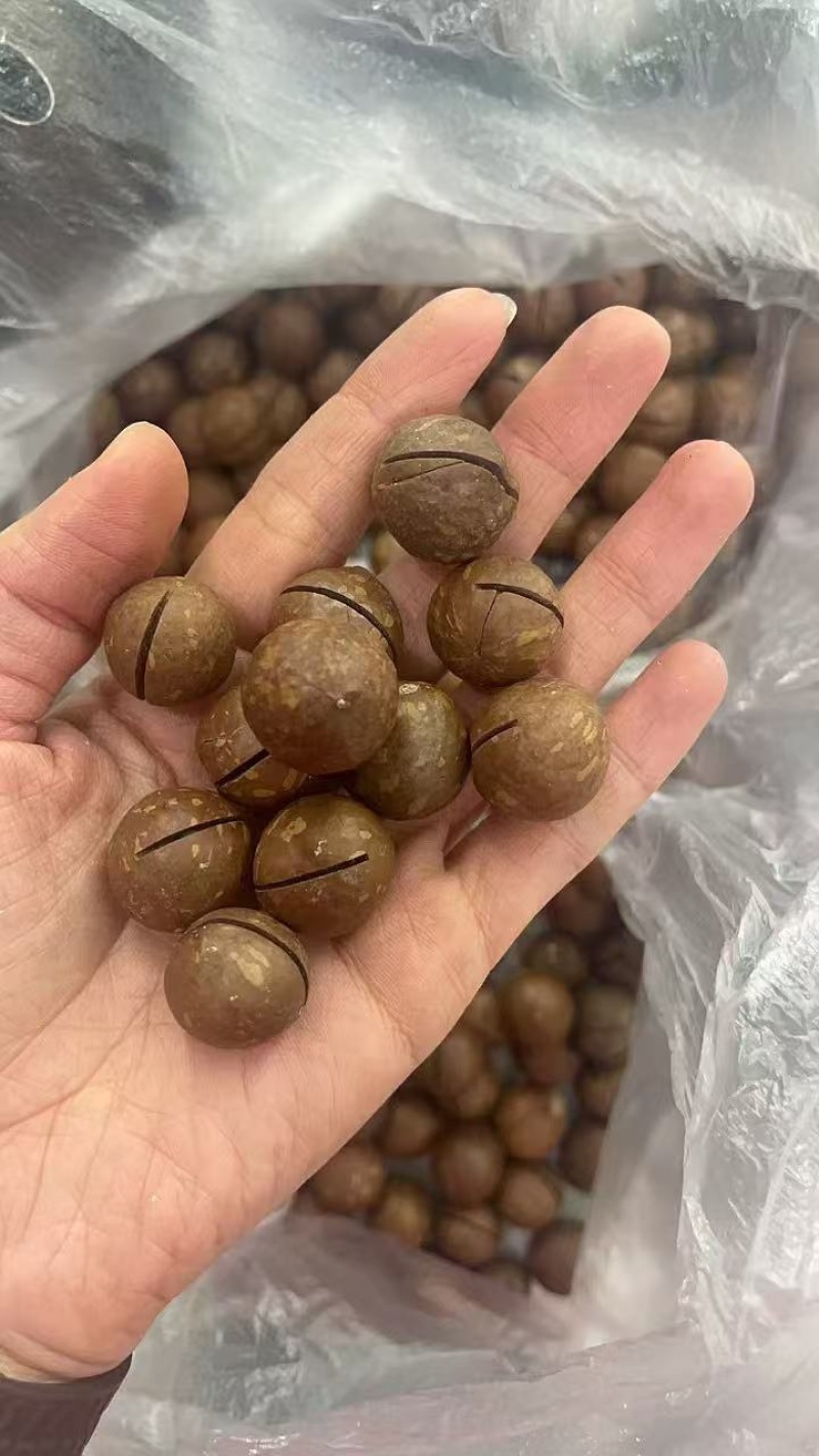 夏威夷果电商实力供应链