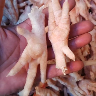 凤爪一级凤爪，纯干凤爪，原料凤爪