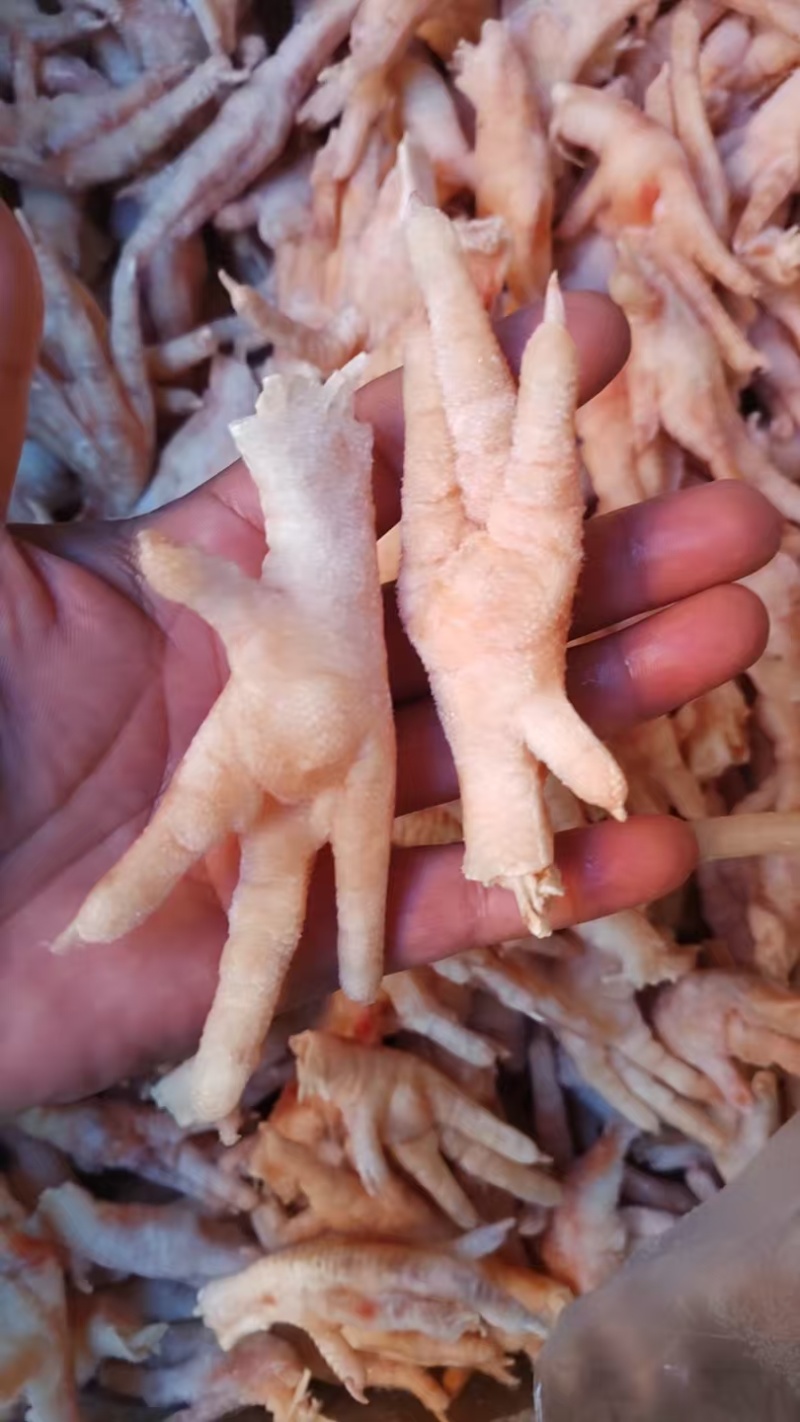 凤爪一级凤爪，纯干凤爪，原料凤爪