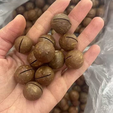 夏威夷果电商实力供应链