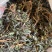 紫花地丁，全草干货，量大价格可谈，欢迎咨询！