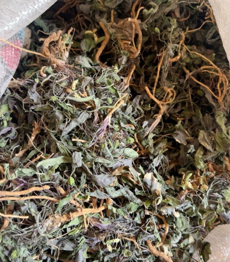 紫花地丁，全草干货，量大价格可谈，欢迎咨询！