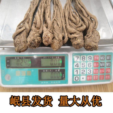 一手货源正规货源当归优质批发量大从优