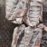 多肉羔羊排