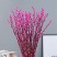 银柳干花真花鲜花鲜枝耐寒年宵花水培花卉室内客厅摆放装饰花