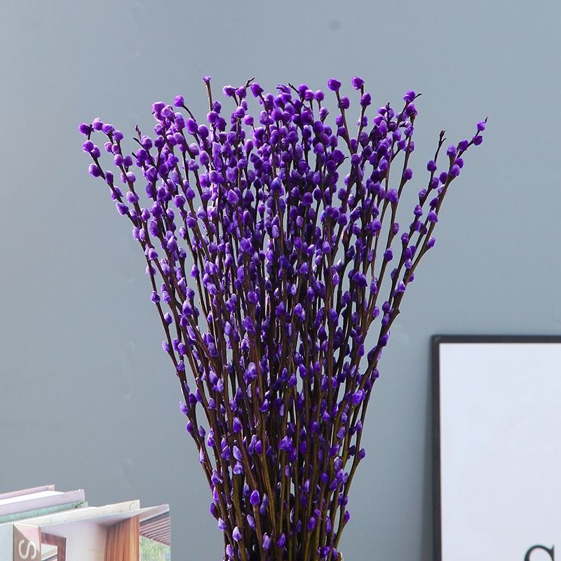 银柳干花真花鲜花鲜枝耐寒年宵花水培花卉室内客厅摆放装饰花