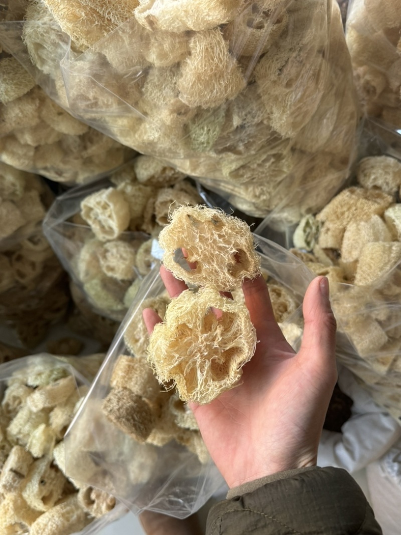 丝瓜络丝瓜瓤实拍无硫现货丝瓜络干净