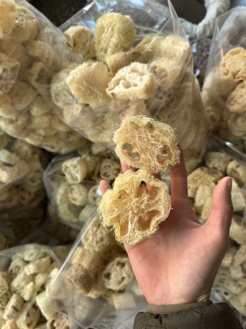 丝瓜络丝瓜瓤实拍无硫现货丝瓜络干净