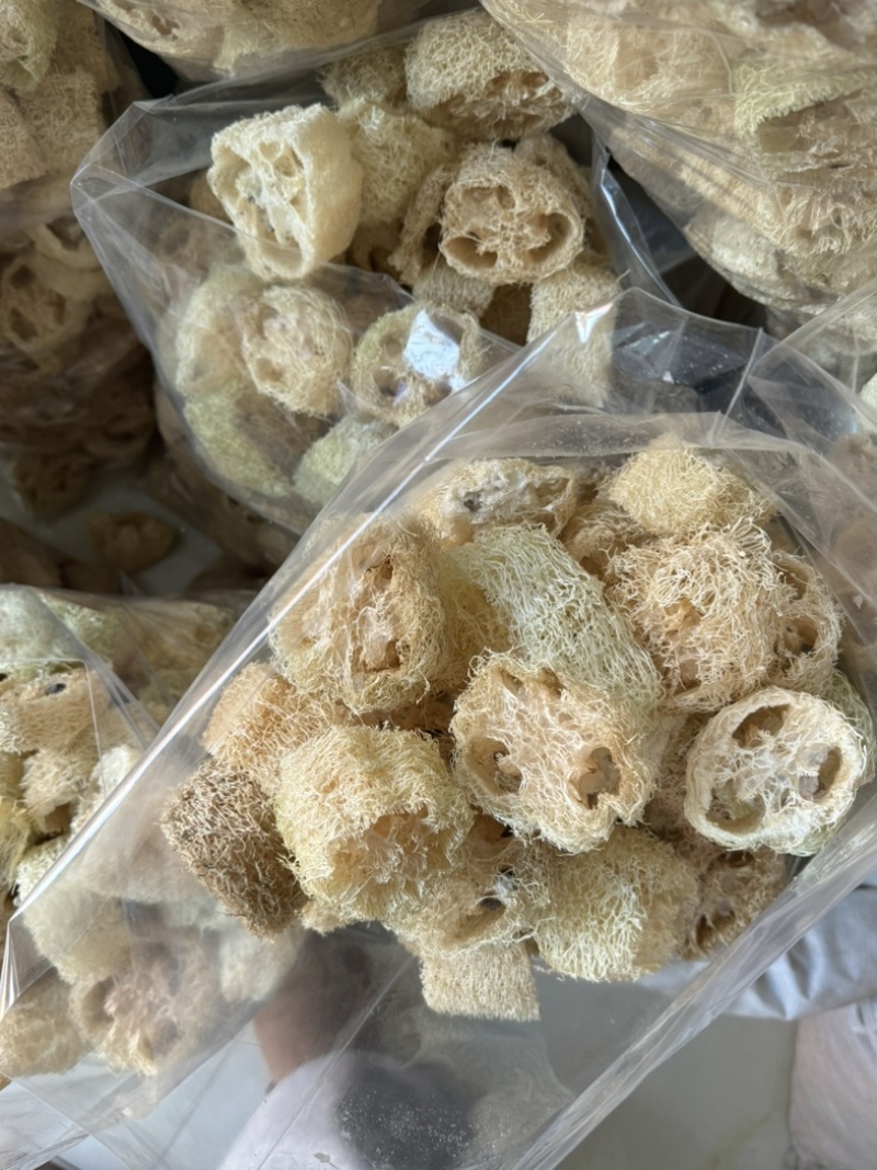 丝瓜络丝瓜瓤实拍无硫现货丝瓜络干净
