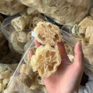 丝瓜络丝瓜瓤实拍无硫现货丝瓜络干净