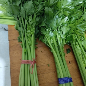 精品西芹