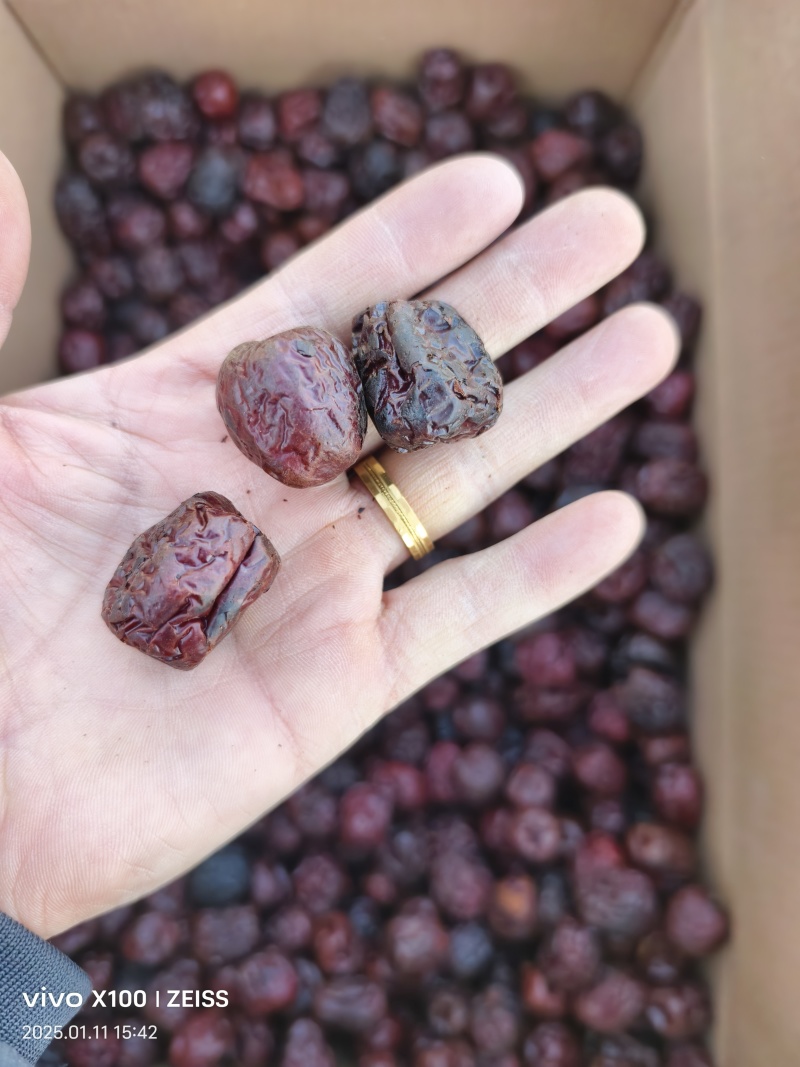 炒枣炒焦枣泡茶八宝茶盖碗茶用枣