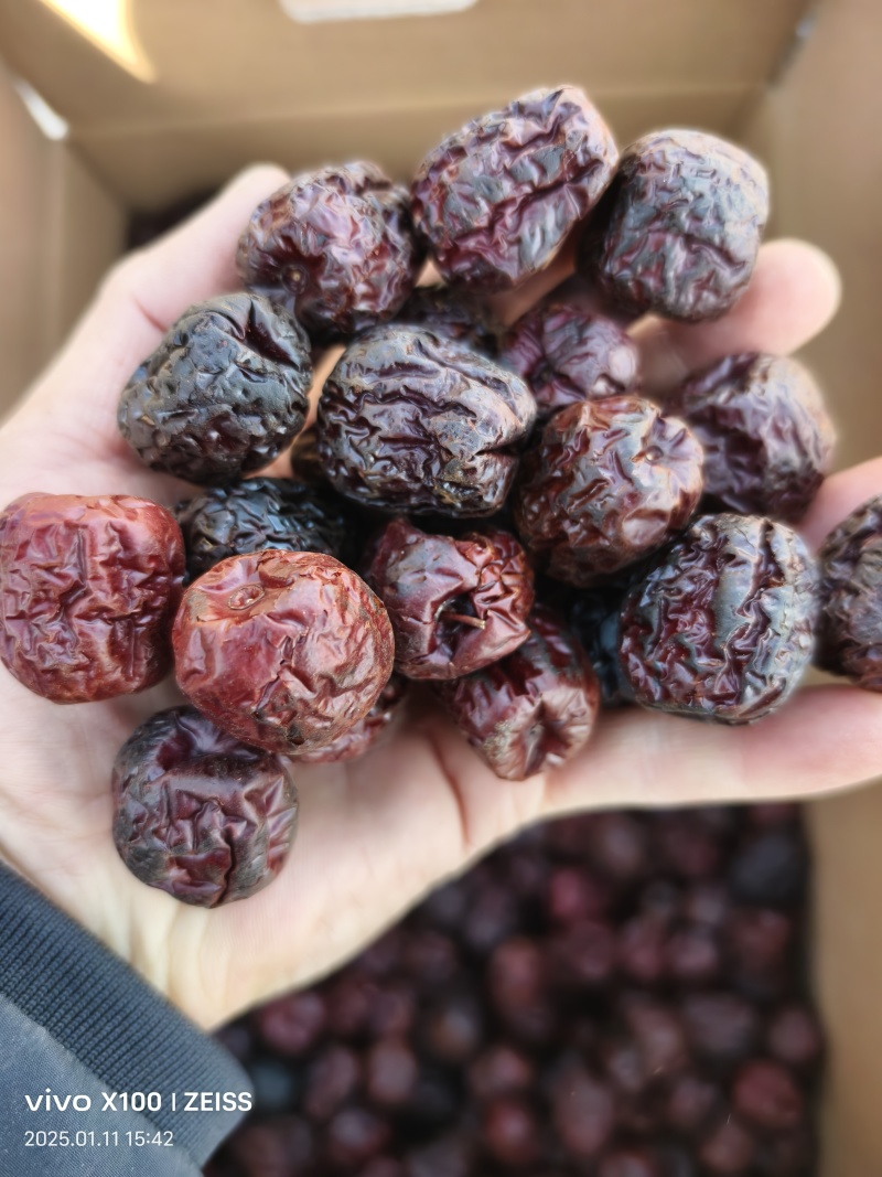 炒枣炒焦枣泡茶八宝茶盖碗茶用枣