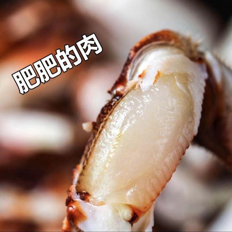 【顺丰】蟹钳批发冷冻鲜蟹腿醉沙蟹钳原料麻辣蟹钳鲜活水产商