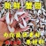 【顺丰】蟹钳批发冷冻鲜蟹腿醉沙蟹钳原料麻辣蟹钳鲜活水产商