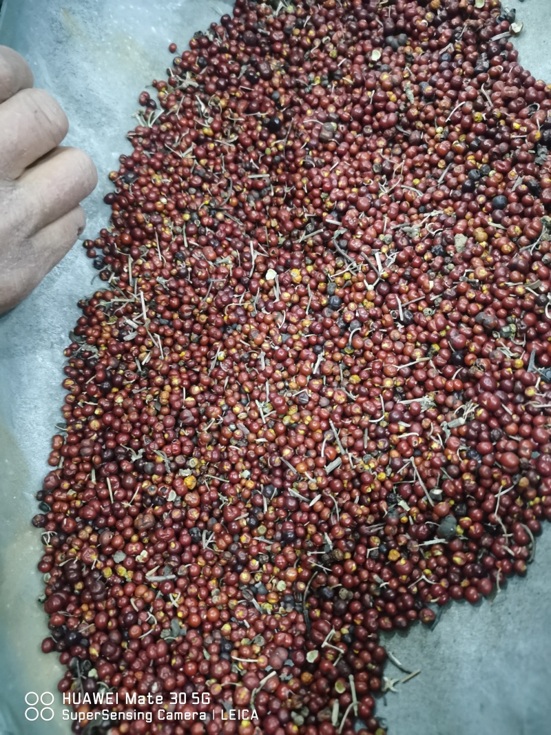 北方野生茜草，可根据您需求做规格，量大价格优惠，欢迎咨询