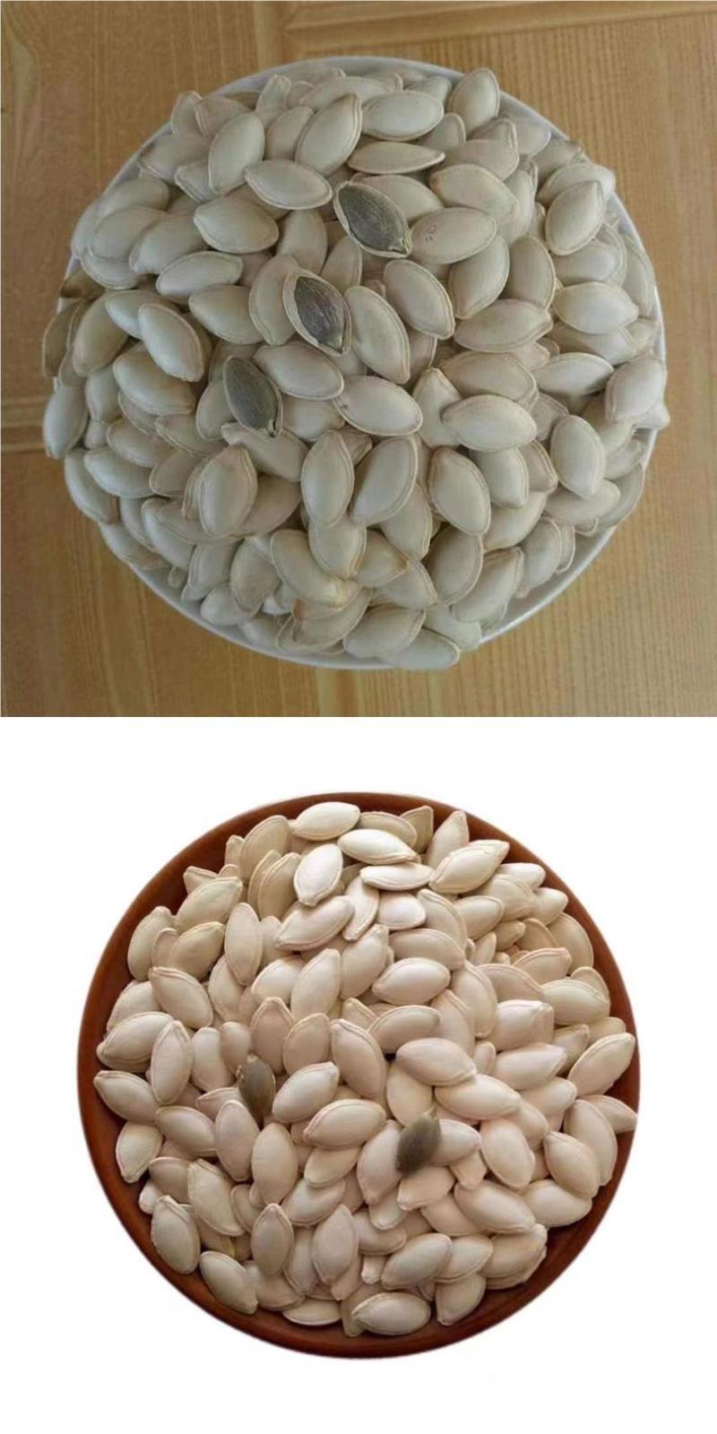 南瓜籽包邮