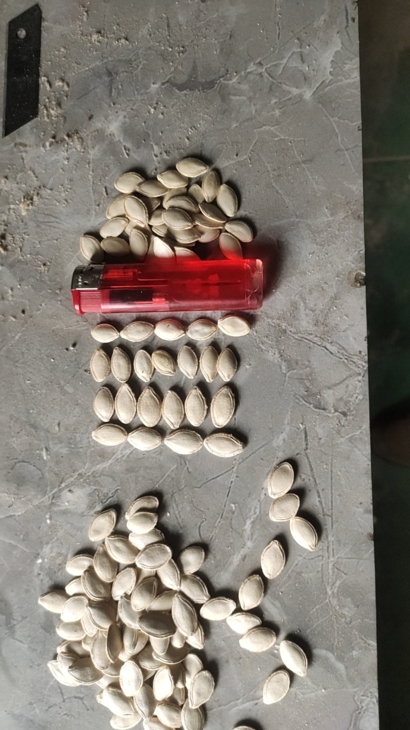 南瓜籽包邮