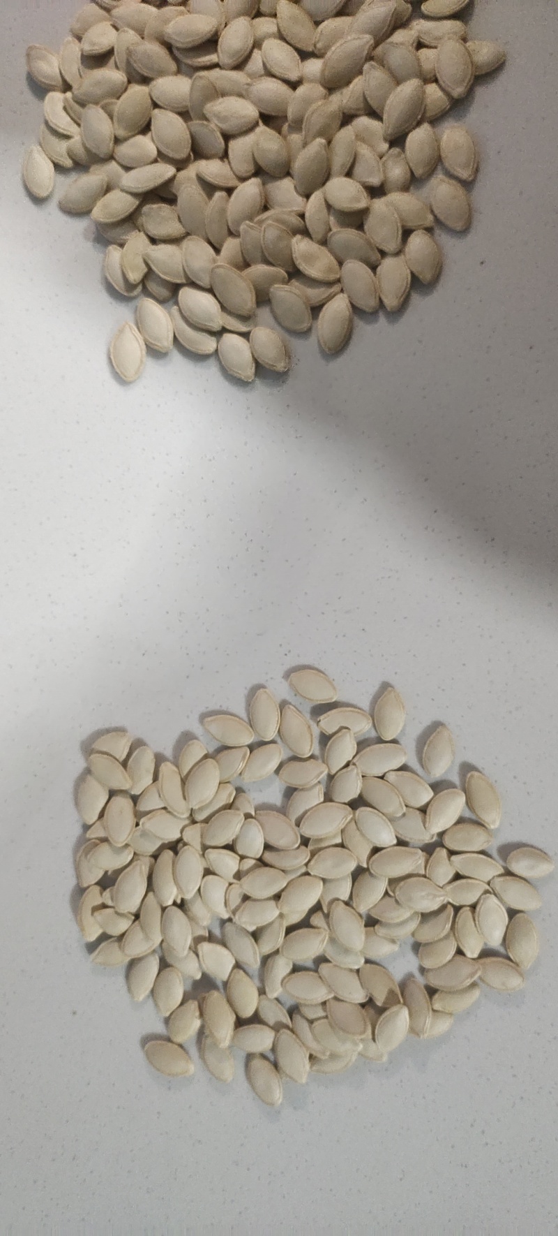南瓜籽包邮
