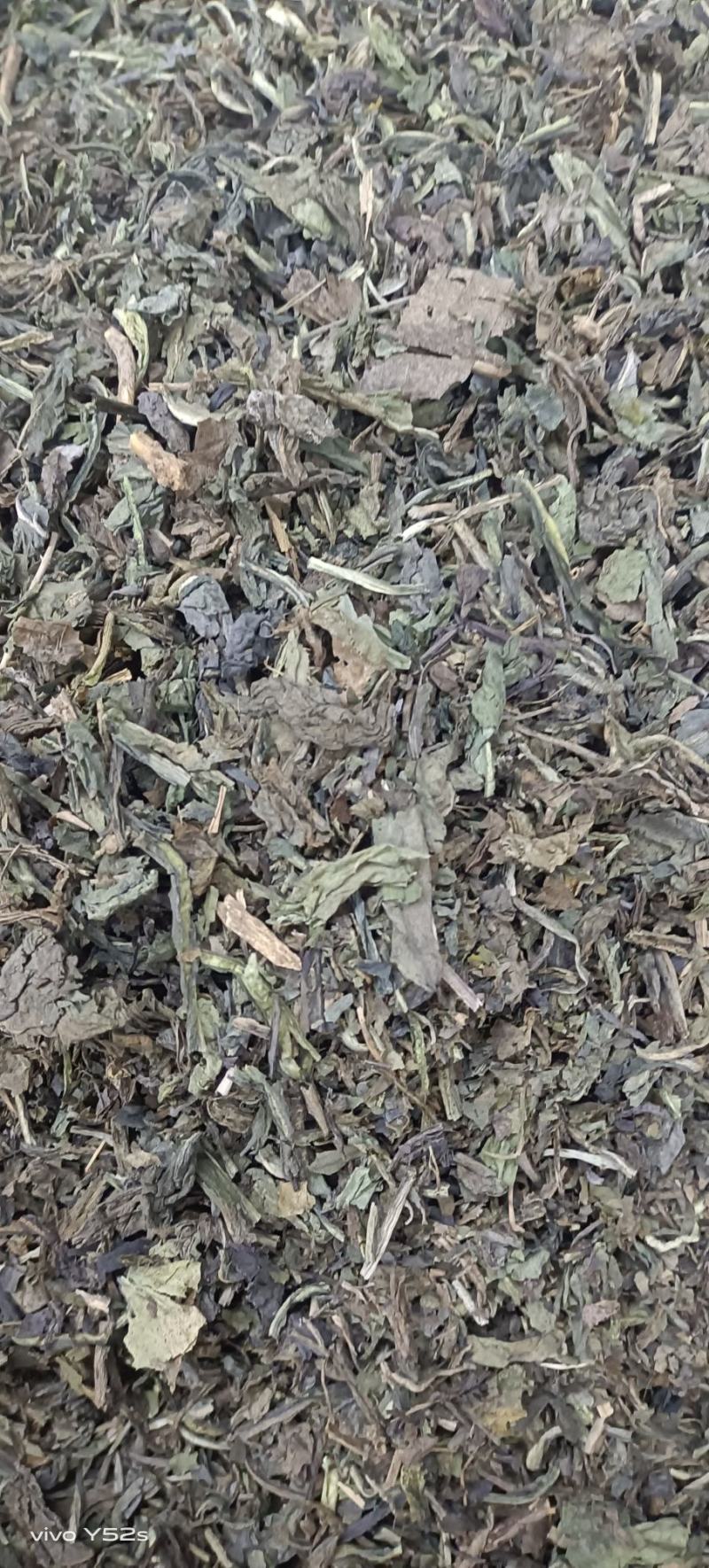 大青叶实物拍摄颜色好货优，需要放心下单