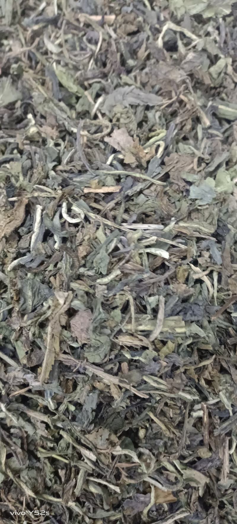 大青叶实物拍摄颜色好货优，需要放心下单