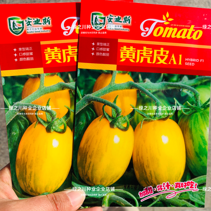 黄虎皮A1番茄种子口感甜蜜黄虎皮柿子种籽北方黄肉小番茄种
