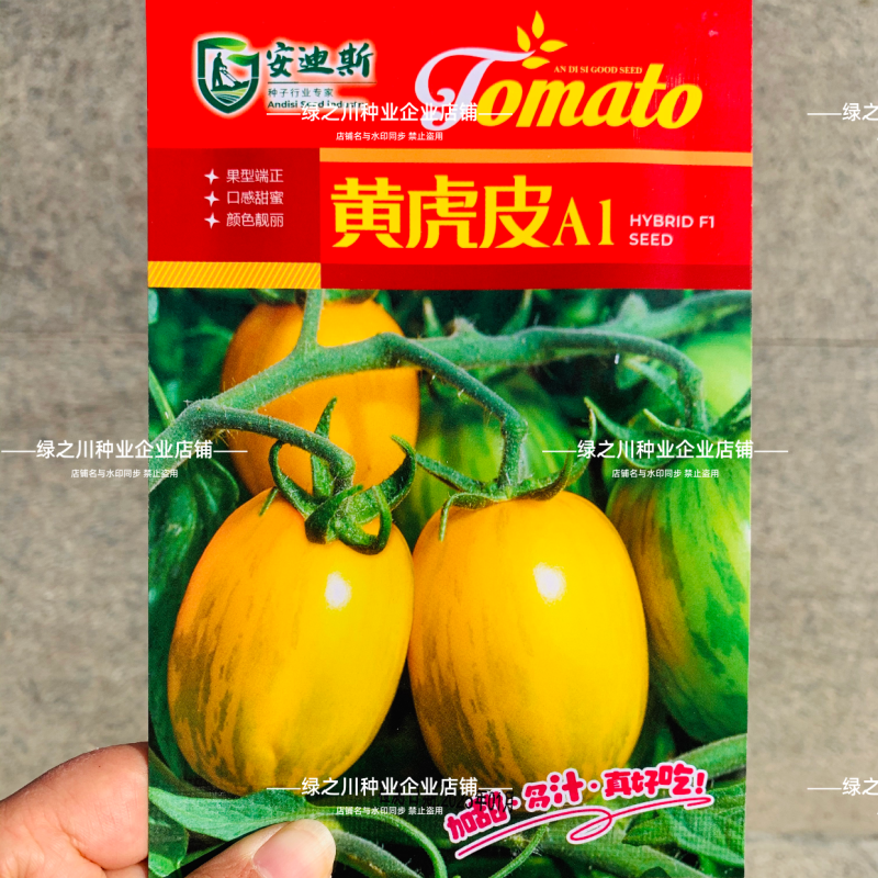 黄虎皮A1番茄种子口感甜蜜黄虎皮柿子种籽北方黄肉小番茄种