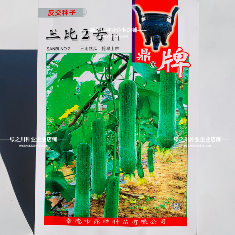 鼎牌三比2号丝瓜种子特早熟硬果长丝瓜种籽高产大棚露地水瓜