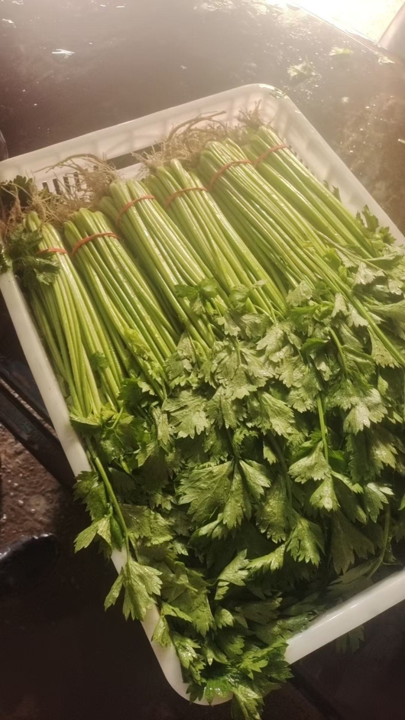 聊城产地大量供应山芹包装齐全，量大便宜欢迎采购