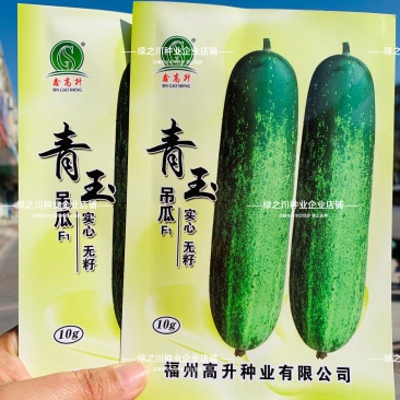 水果吊瓜种子脆甜耐热种籽高产青黄瓜种子实心水果黄瓜种子