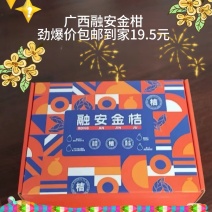 广西融安脆蜜金桔原产地发货十车八不是问题，一件代发也给你安排