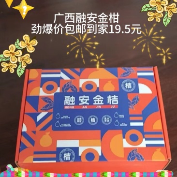 广西融安脆蜜金桔原产地发货十车八不是问题，一件代发也给你安排