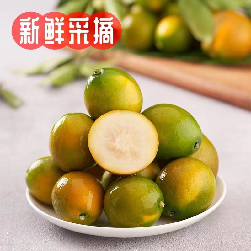 广西融安脆蜜金桔原产地发货十车八不是问题，一件代发也给你安排