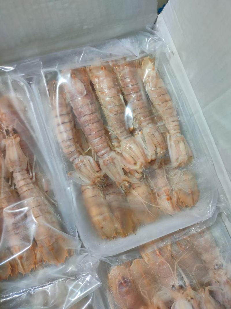 北海皮皮虾