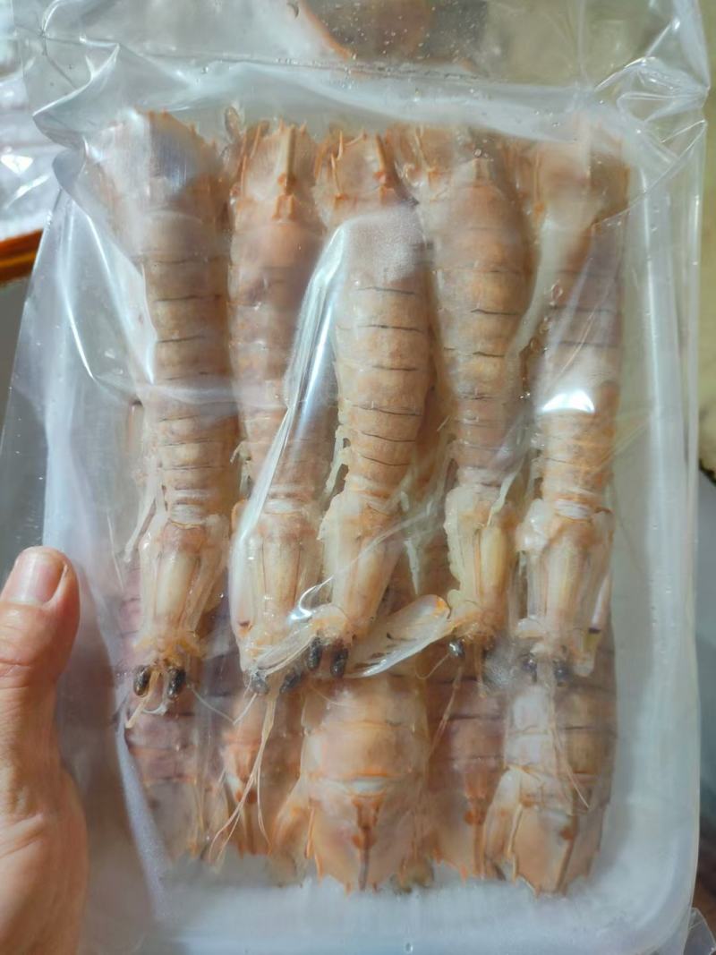 北海皮皮虾