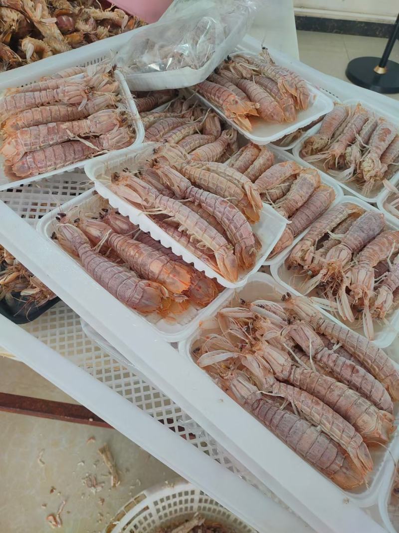 北海皮皮虾