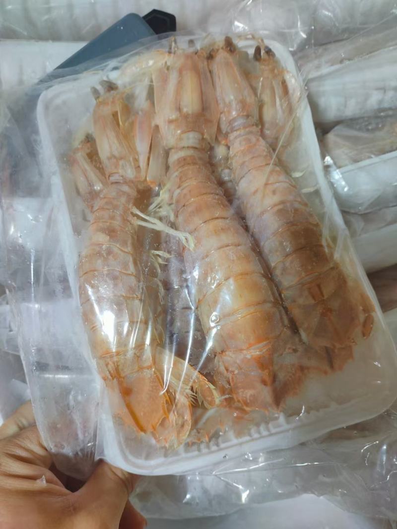 北海皮皮虾