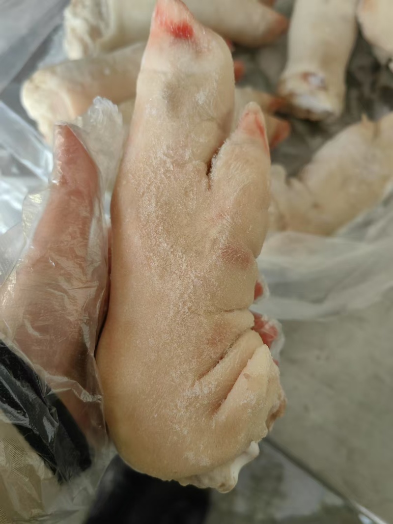 国产一级纯干猪蹄