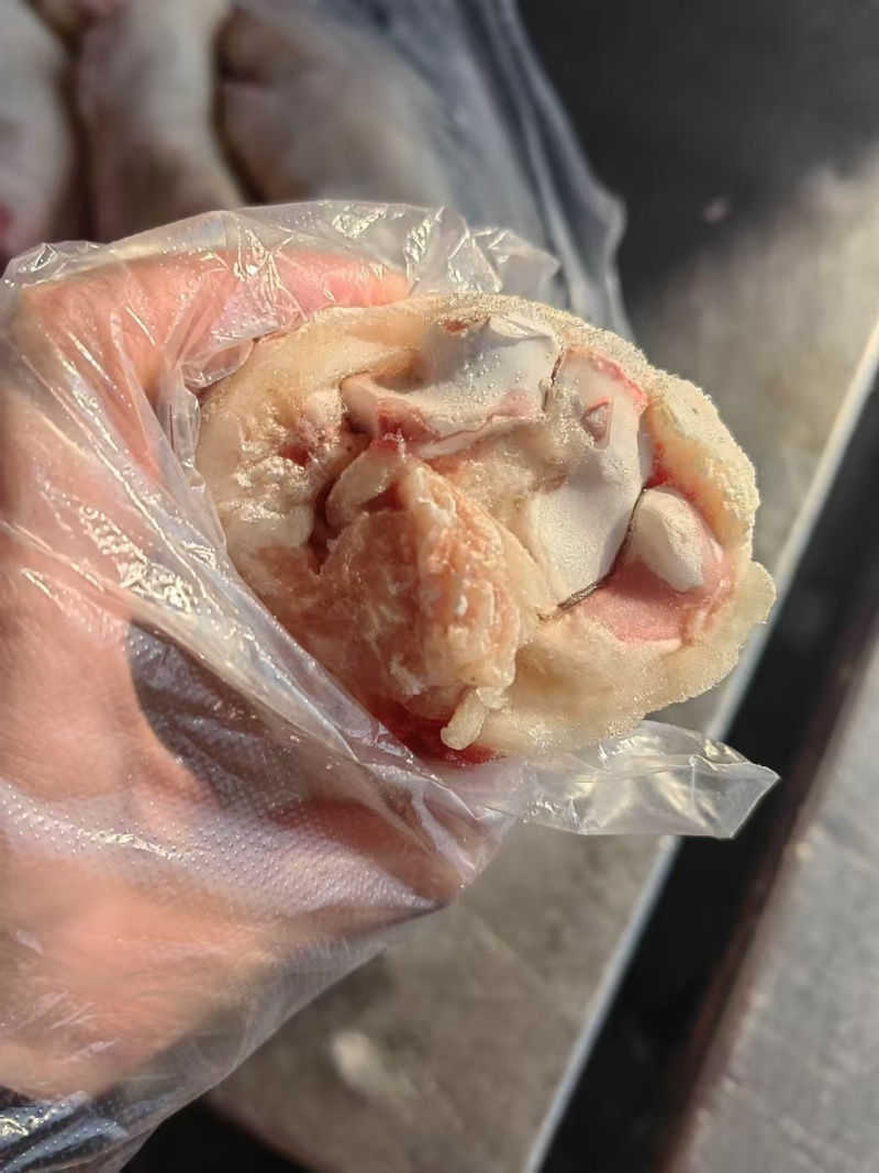 国产一级纯干猪蹄