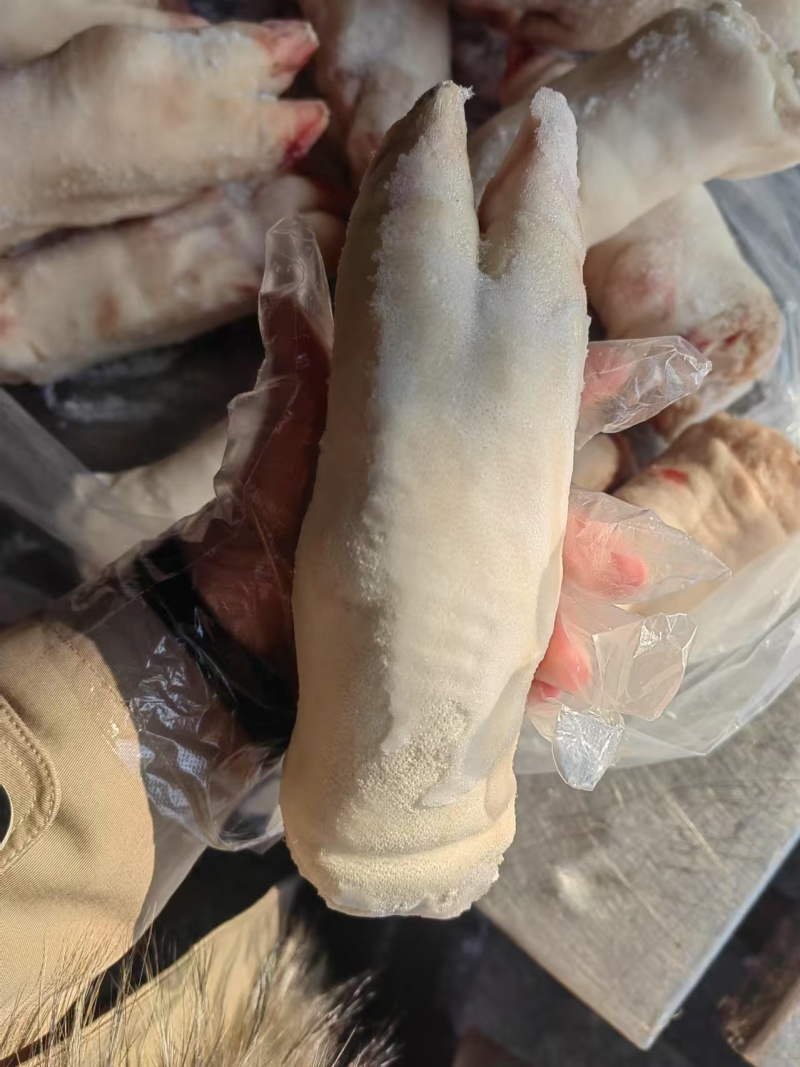 国产一级纯干猪蹄