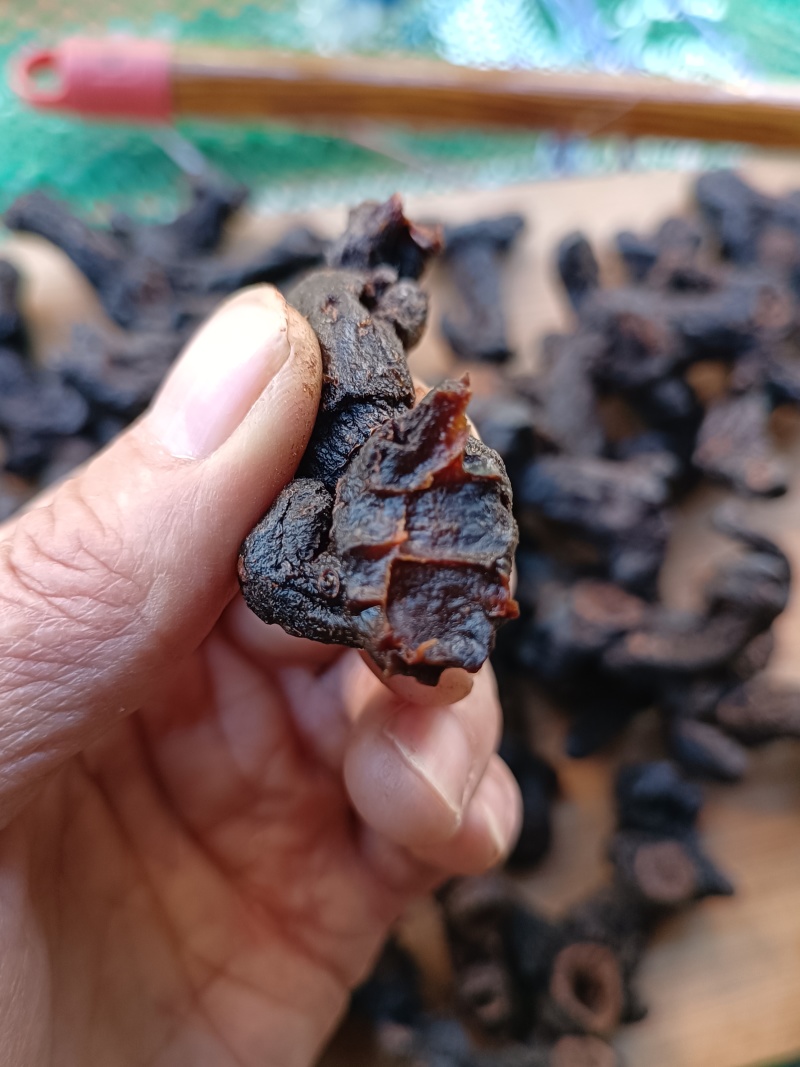 古法九蒸九晒野生黄精第九蒸[玫瑰]古老传统制法
