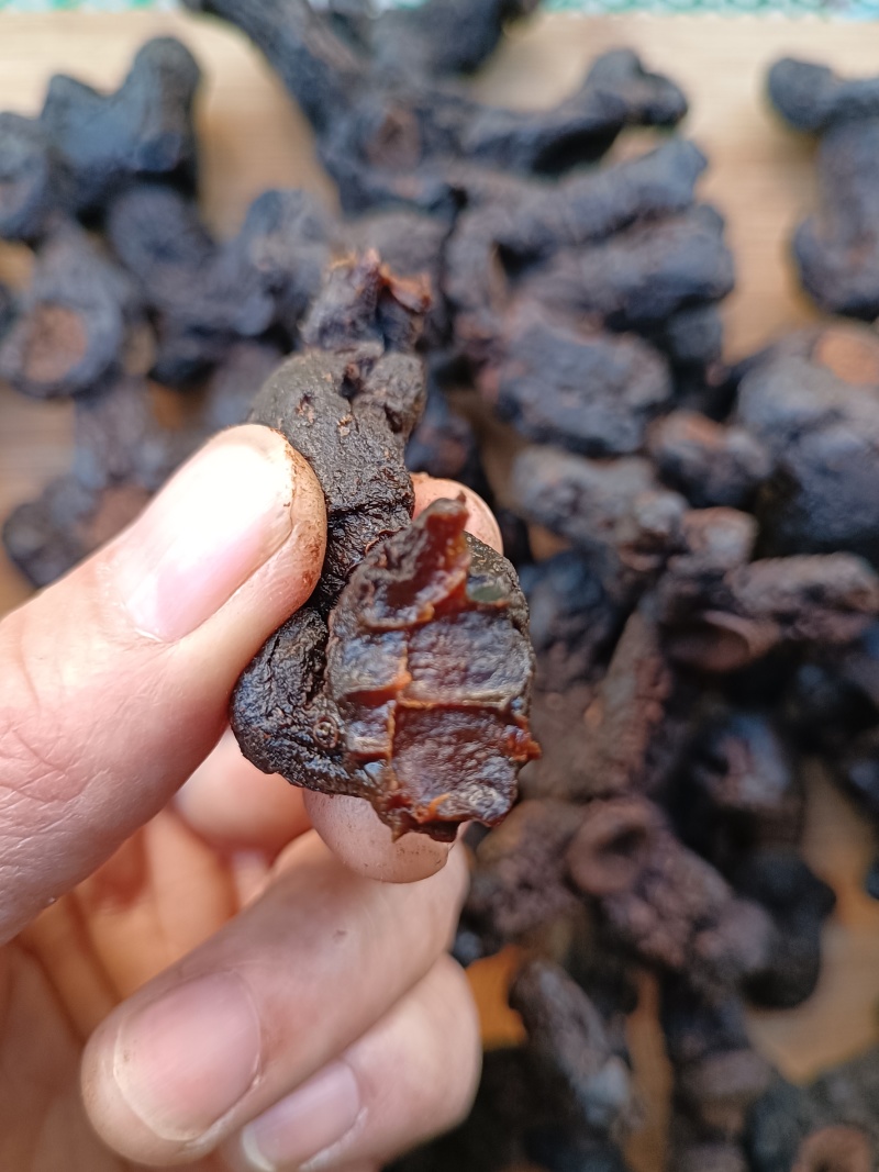 古法九蒸九晒野生黄精第九蒸[玫瑰]古老传统制法